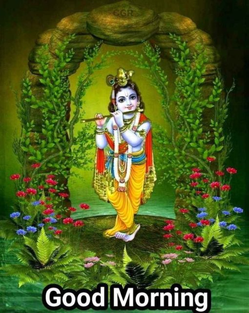 Good Morning Krishna Images Wishes 7