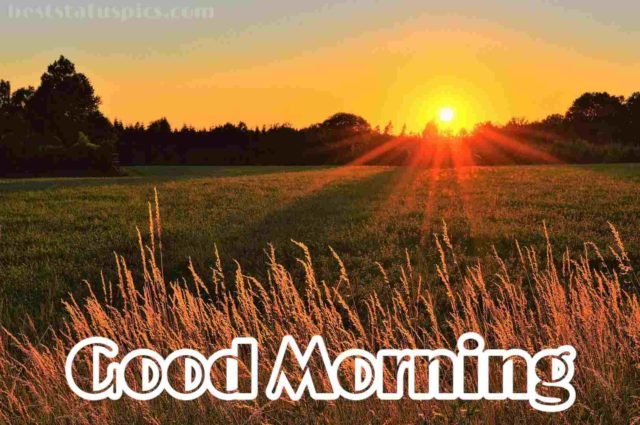 Good Morning Nature Image 26