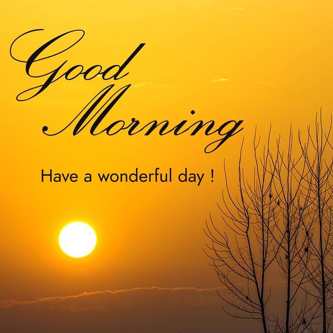 80+ Good Morning Images HD 1080p Download - Good Morning Wishes