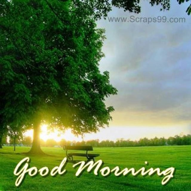 Good Morning Nature Wg023154