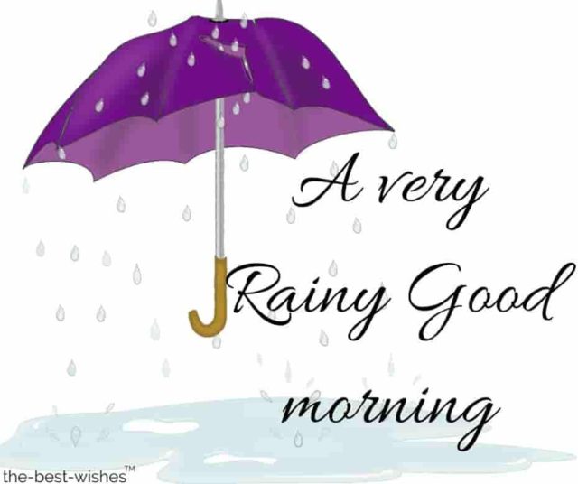 Good Morning Rainy Images13