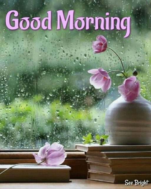 Good Morning Rainy Images18