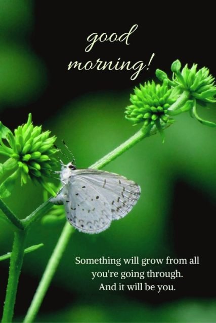 Good Morning Snoopy Images