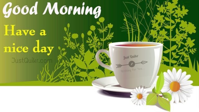 Good Morning Tea Pics Images 18