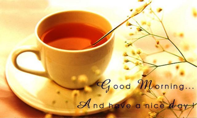 Good Morning With Cup Of Tea Wg01343