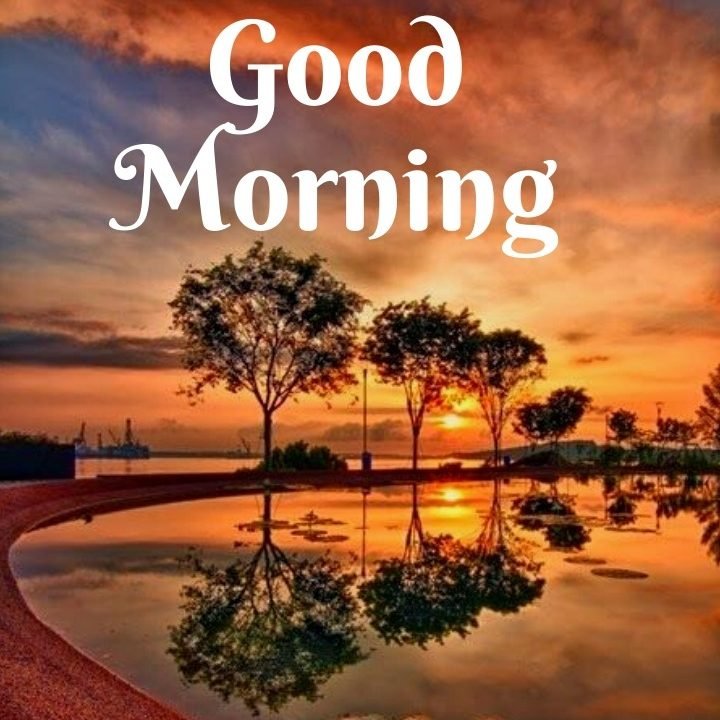 120+ Good Morning Nature Images & Wishes - Good Morning Wishes, Images & Greetings 120+ Good Morning Nature Images & Wishes - Good Morning Wishes, Images & Greetings