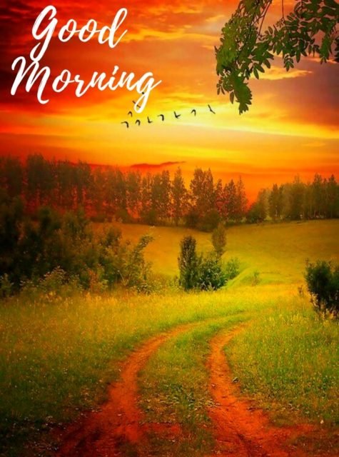 Good Morning Nature Images 16