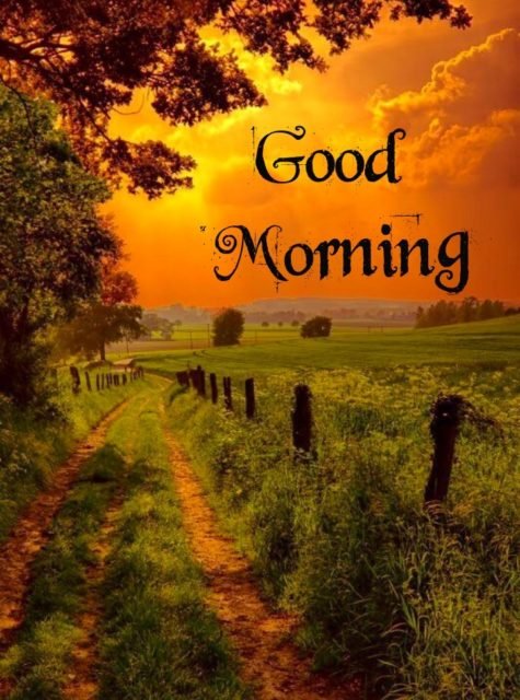 Good Morning Nature Images 28