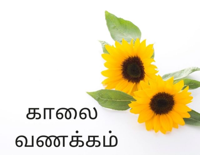 Good Morning Tamil 11