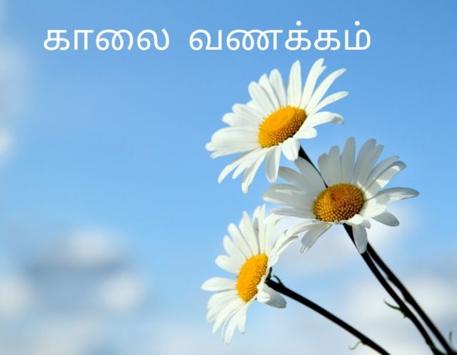 Good Morning Tamil 7