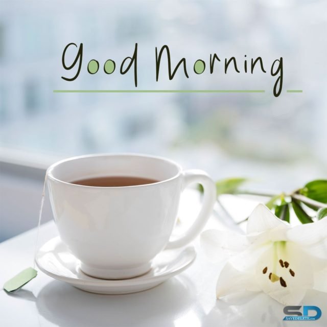 Good Morning Tea Images 11