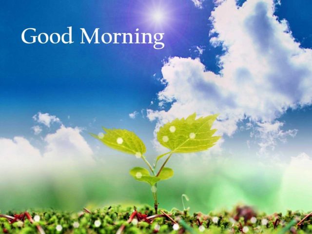 Good Morning Nature Images 16