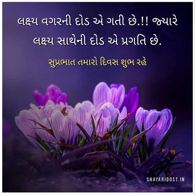 Good Morning Qoutes In Gujrati 10