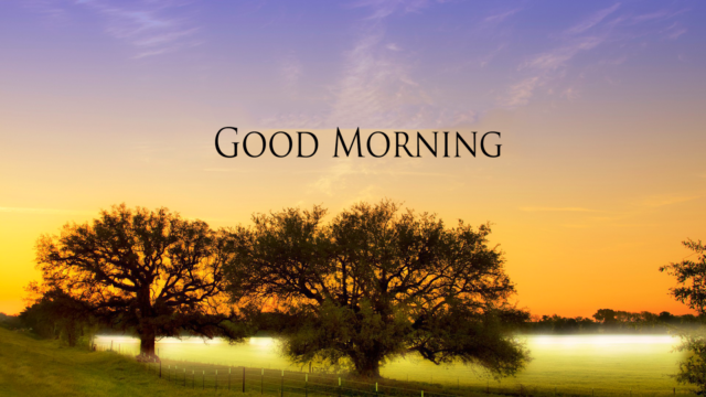 Good Morning Images Hd 1080o Download 12