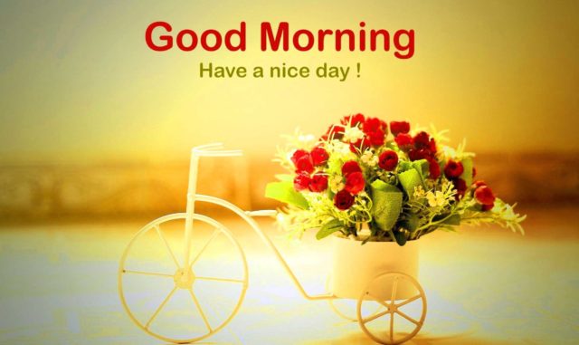 Good Morning Images Hd 1080o Download 2