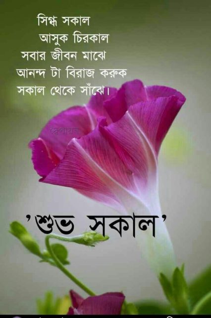Good Morning In Bengali 7
