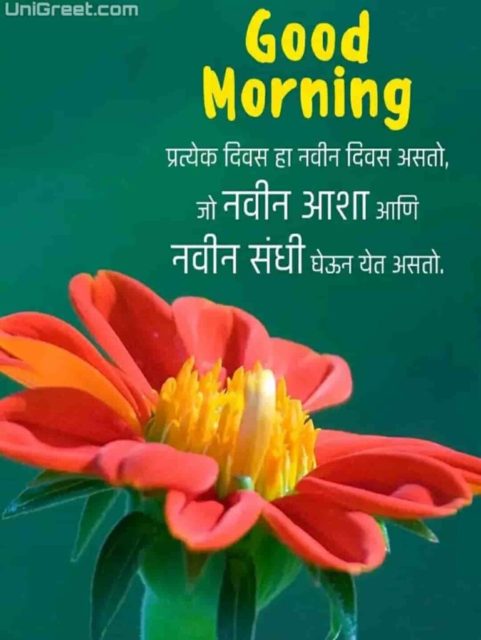 Good Morning Marathi Quotes Life 769x1024