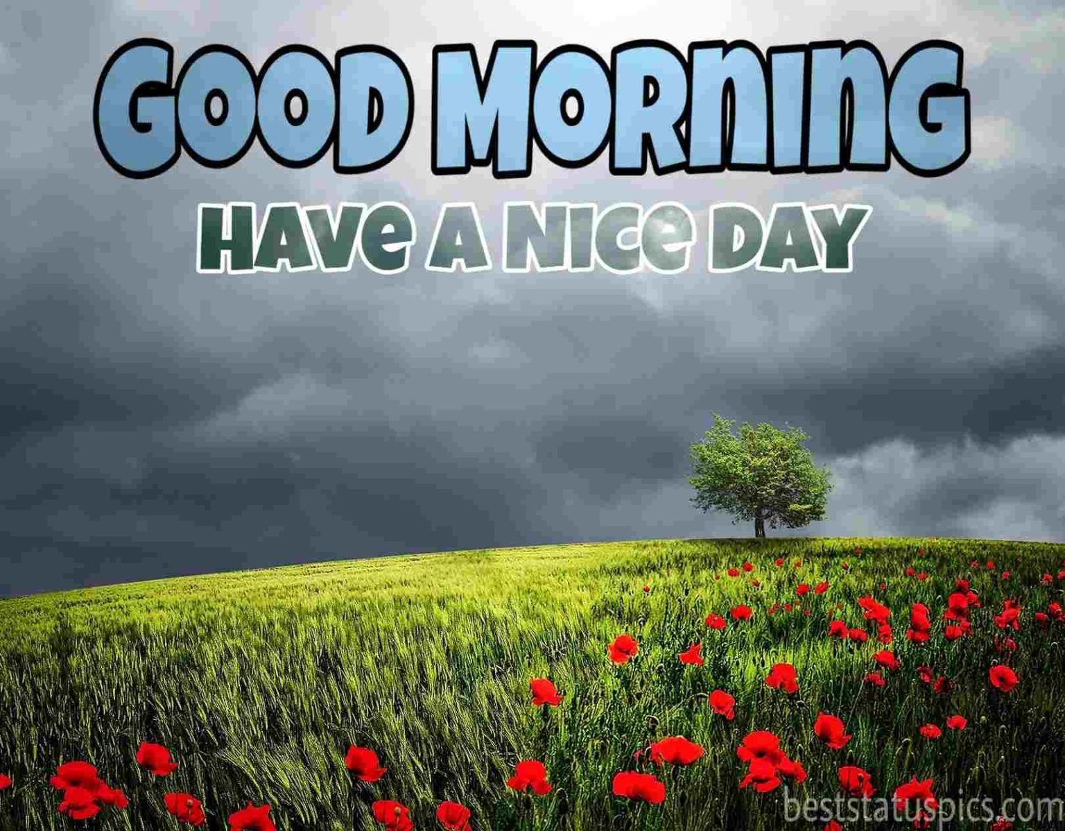 100+ Good Morning Have A Nice Day Wishes, Images & Status - Good ...