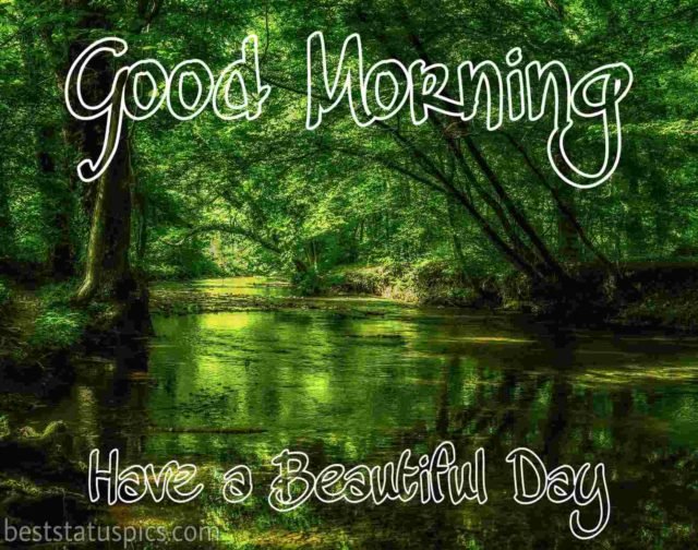 Good Morning Nature Image Hd 3