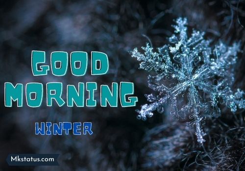 Good Morning Winter Wallpaper Min