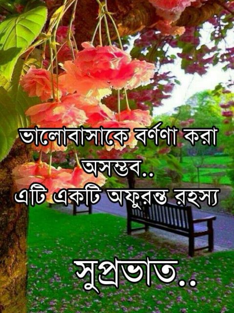 Good Morning Wishes In Bengali 2