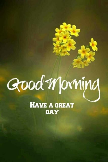 Green Good Morning Images 11