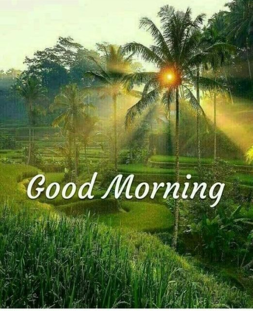 Green Good Morning Images 14