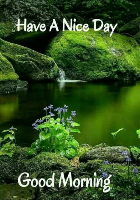 Green Good Morning Images 18