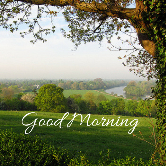 Green Good Morning Images 2