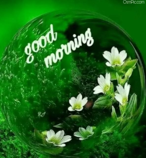 Green Good Morning Images 23