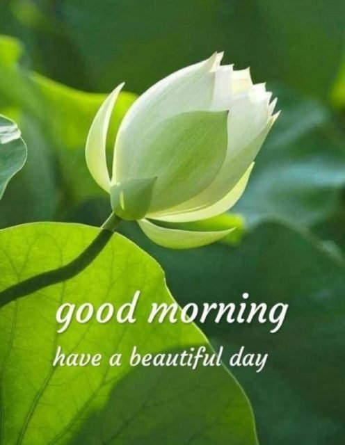 Green Good Morning Images 28