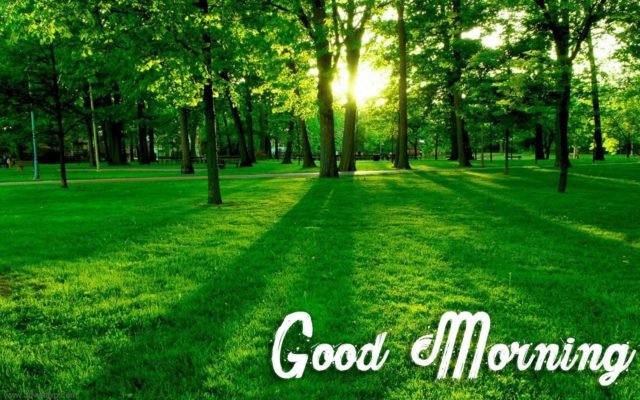 Green Good Morning Images 3