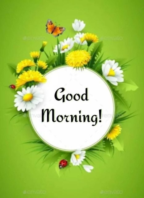 Green Good Morning Images 31