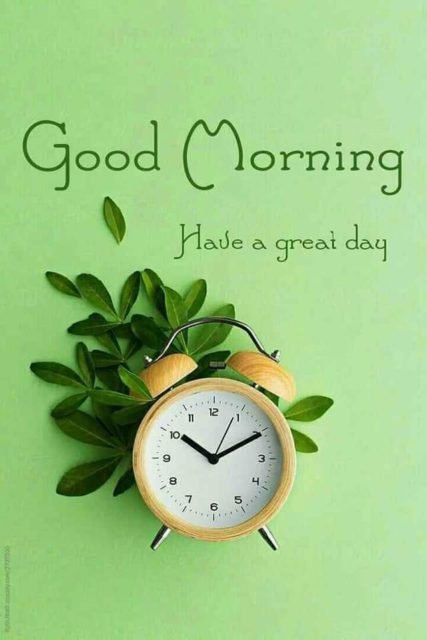 Green Good Morning Images 4