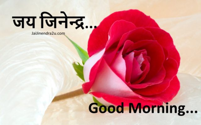 Jai Jinendra Good Morning Wallpaper With Rose Flower 768x480