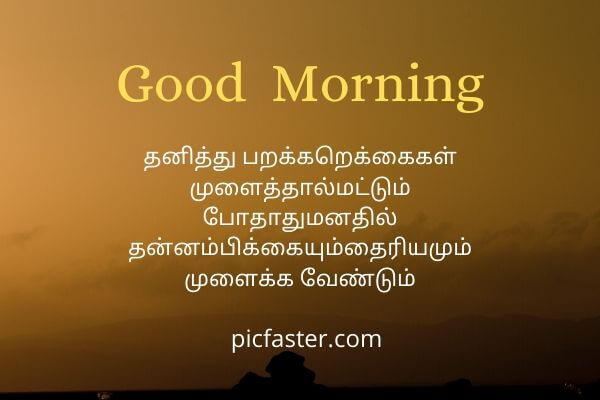 Latest Good Morning Images In Tamil For Whatsapp (6)