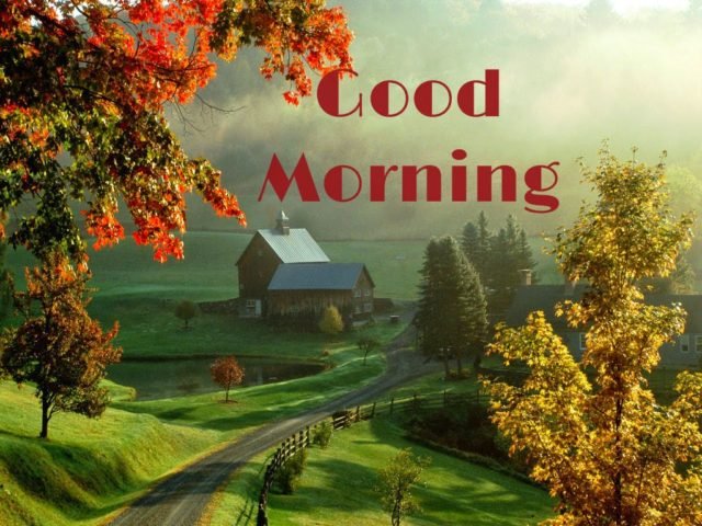 Morning Beautiful Nature Wg16517