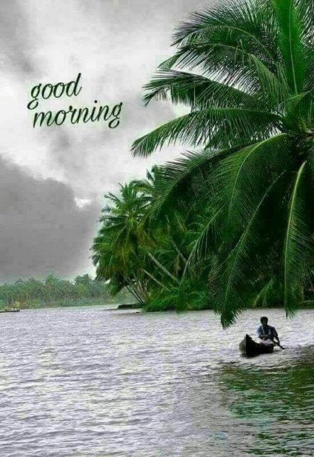 Nature Village Good Morning 1