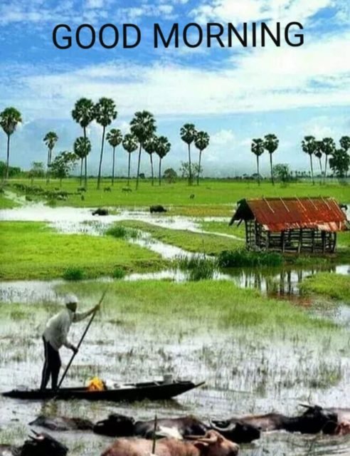 Nature Village Good Morning 11