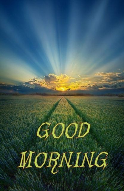 Nature Village Good Morning 2