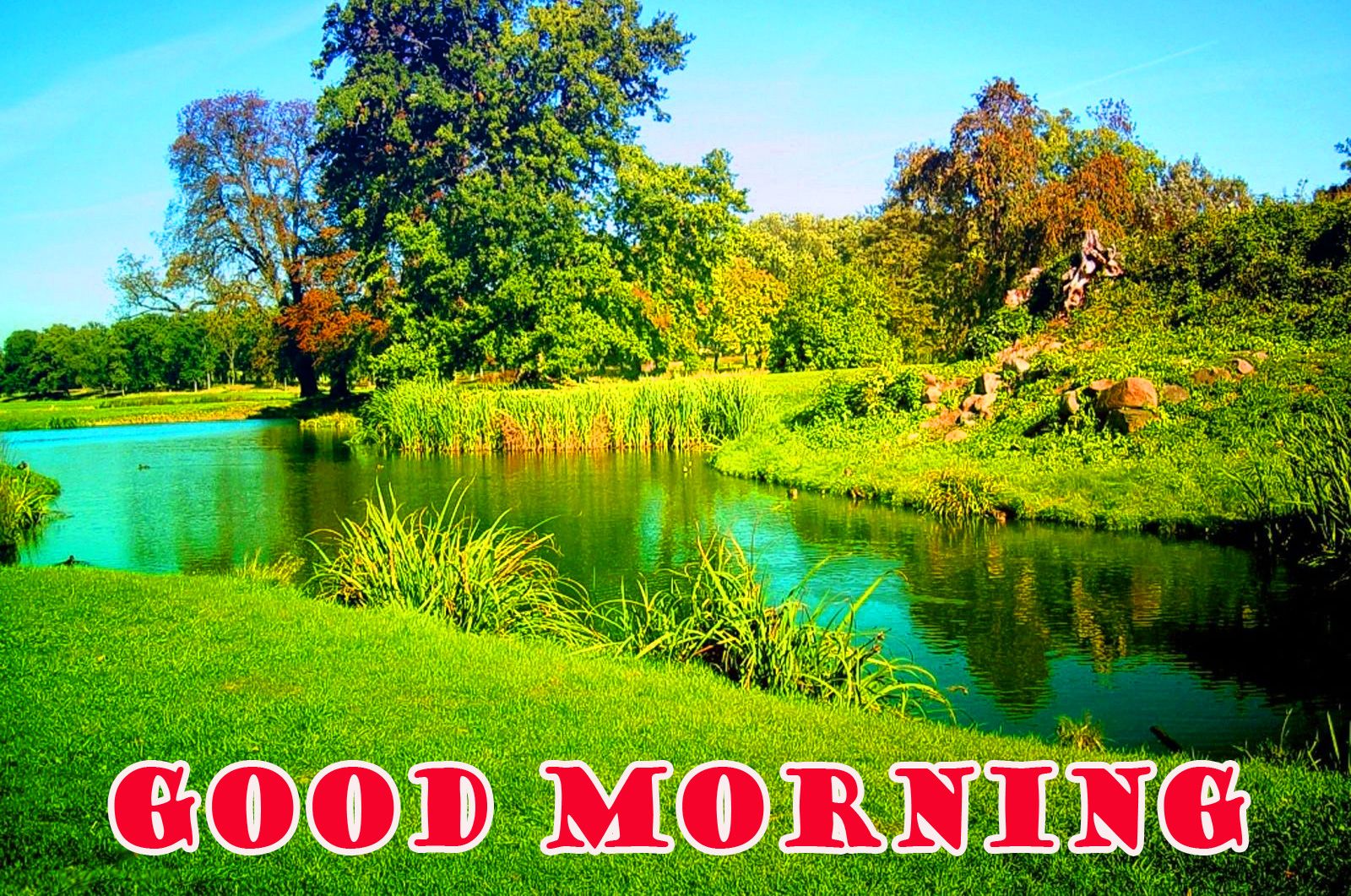 60+ Nature Village Good Morning Images & Wishes - Good Morning Wishes
