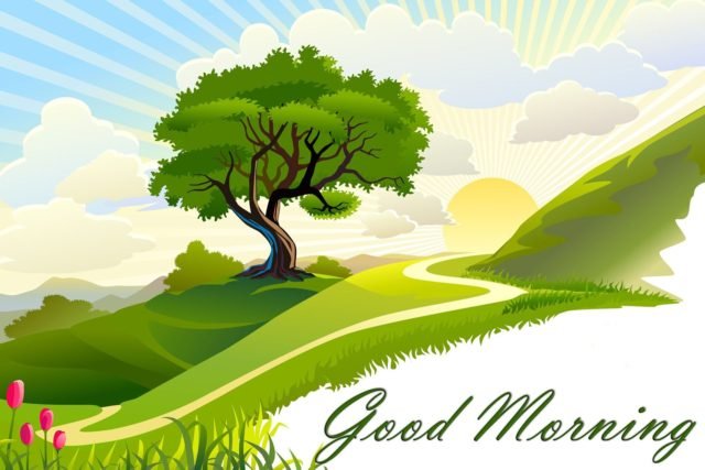 Nature Village Good Morning 5