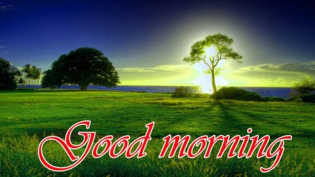 Nature Village Good Morning 8
