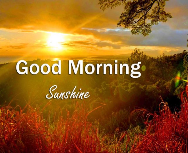 New Top Sunrise Good Morning Images Pics Download