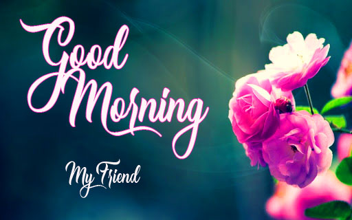 New Top Good Morning Have A Nice Day Images Download
