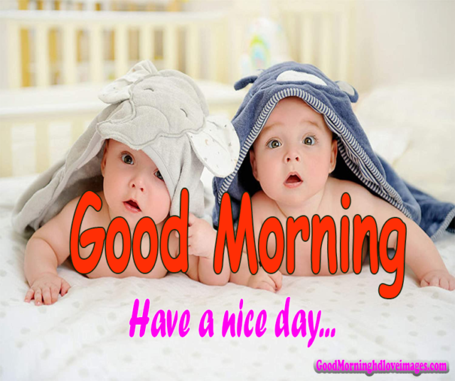 Very Cute Baby Good Morning Have A Nice Day Photo Image