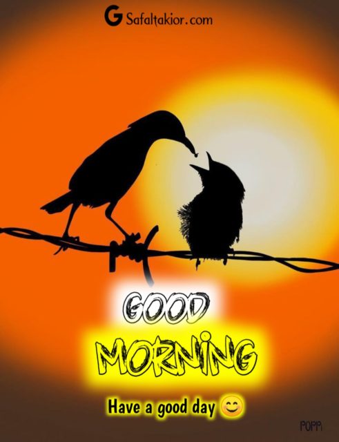 Very Good Morning Bird Images 10