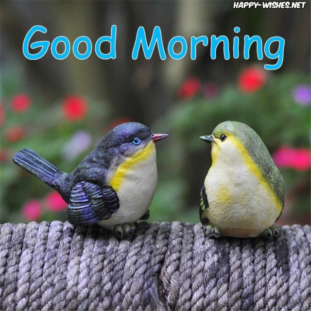 Very Good Morning Bird Images 6