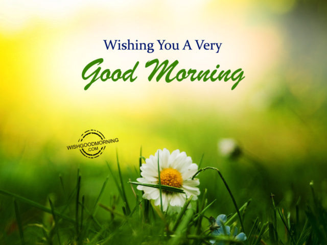 Wishing You A Very Good Morning