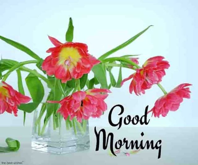 Beautiful Good Morning Images With A Flowers 11606759028y223bowuql